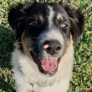 Meet your Posher, Anna